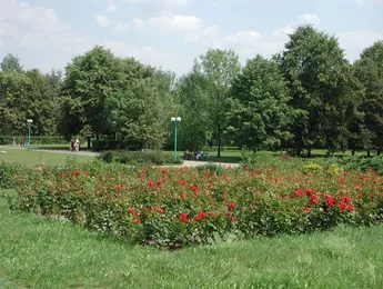DSCN1882