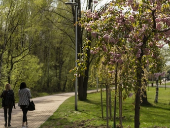 1._TYCHY_2019_fot._Michał_Janusinski_oberiba.pl6
