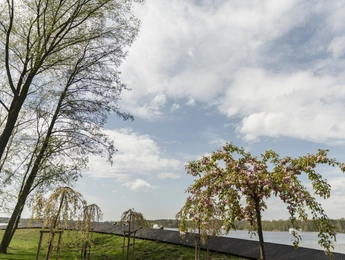 1._TYCHY_2019_fot._Michał_Janusinski_oberiba.pl4