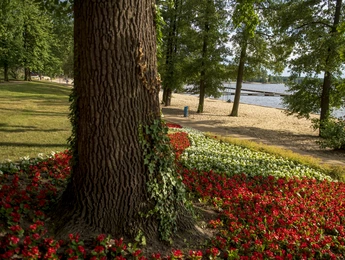 TYCHY_K016